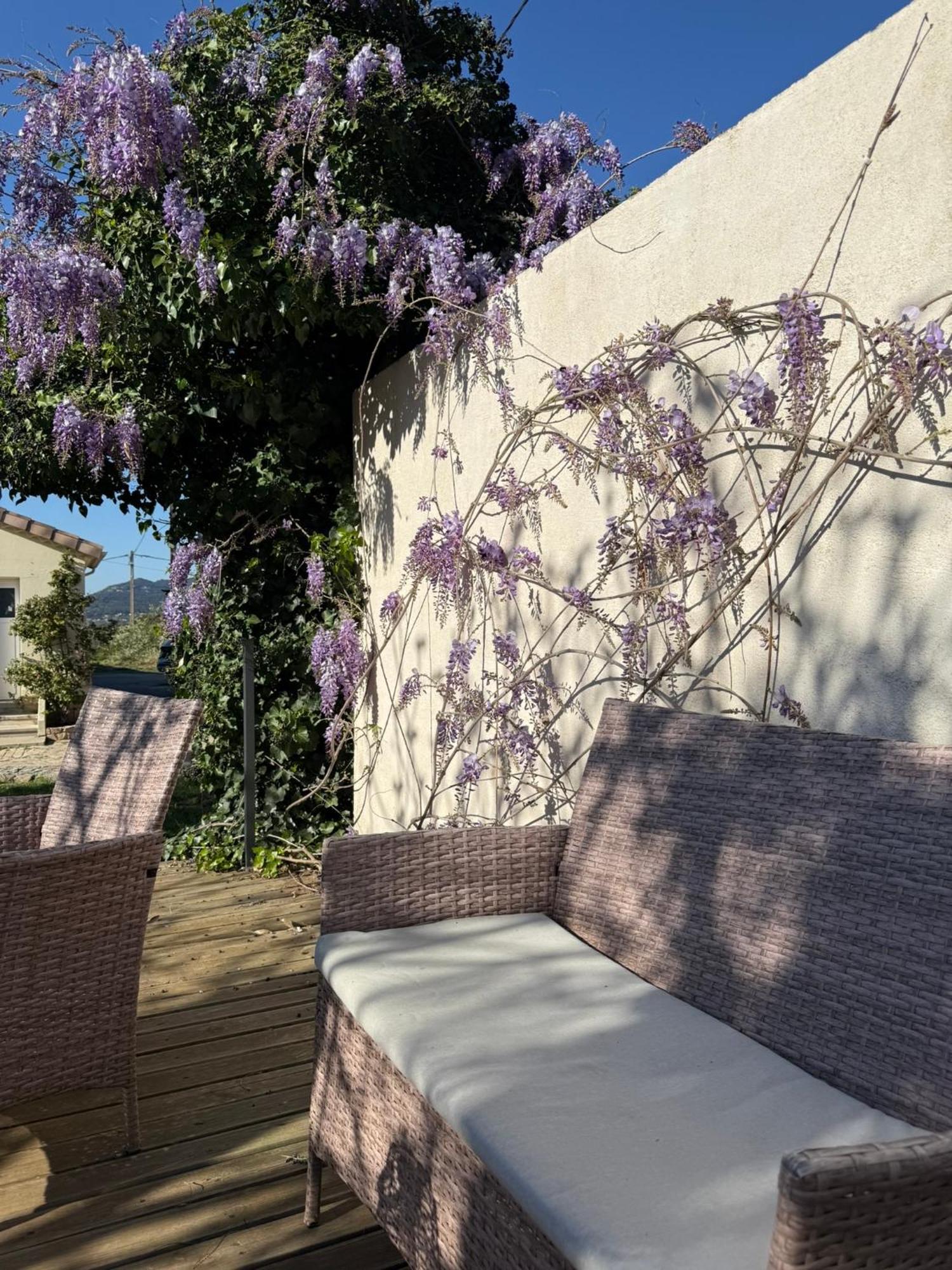 Gite climatisé pour 4 personnes avec piscine dans les hauteurs de Bollène Exterior foto